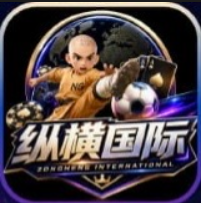 纵横国际
